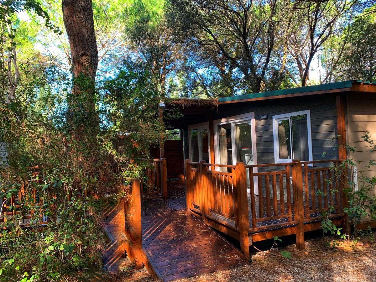 Camping Maremma Sans Souci Castiglione della Pescaia Eksteriør bilde