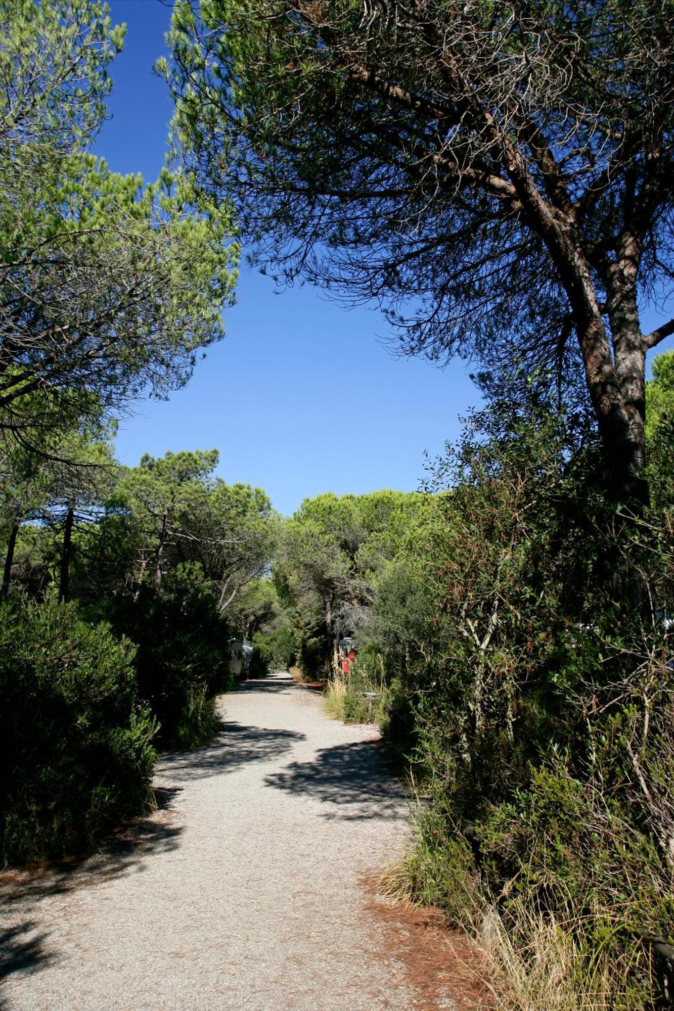 Camping Maremma Sans Souci Castiglione della Pescaia Eksteriør bilde