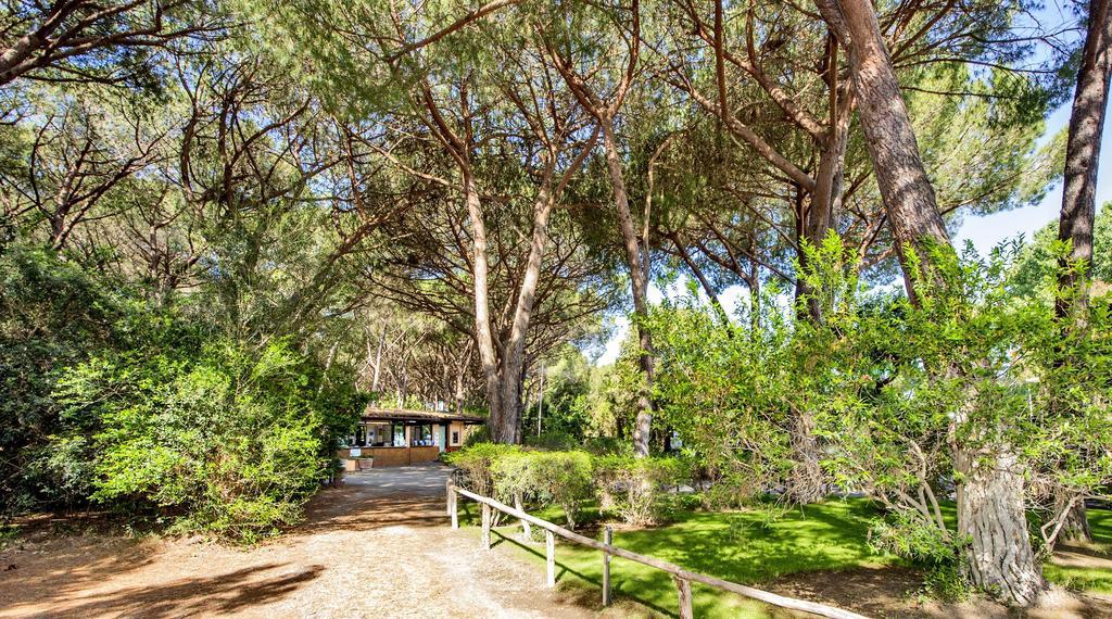 Camping Maremma Sans Souci Castiglione della Pescaia Eksteriør bilde